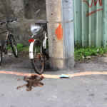 なぜか髪が落ちていた